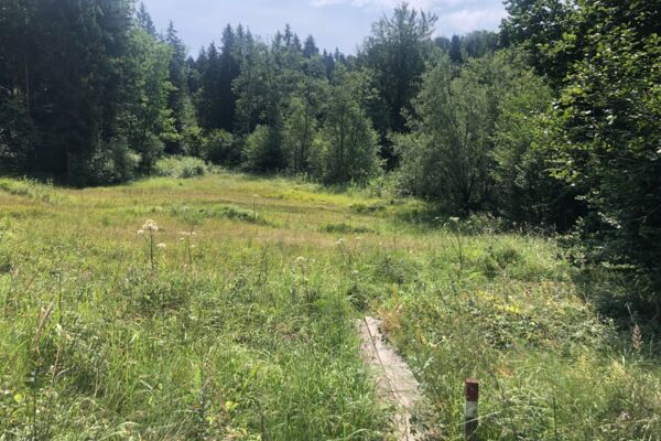 Durchs Jomerbachtal und über den Schauenberg