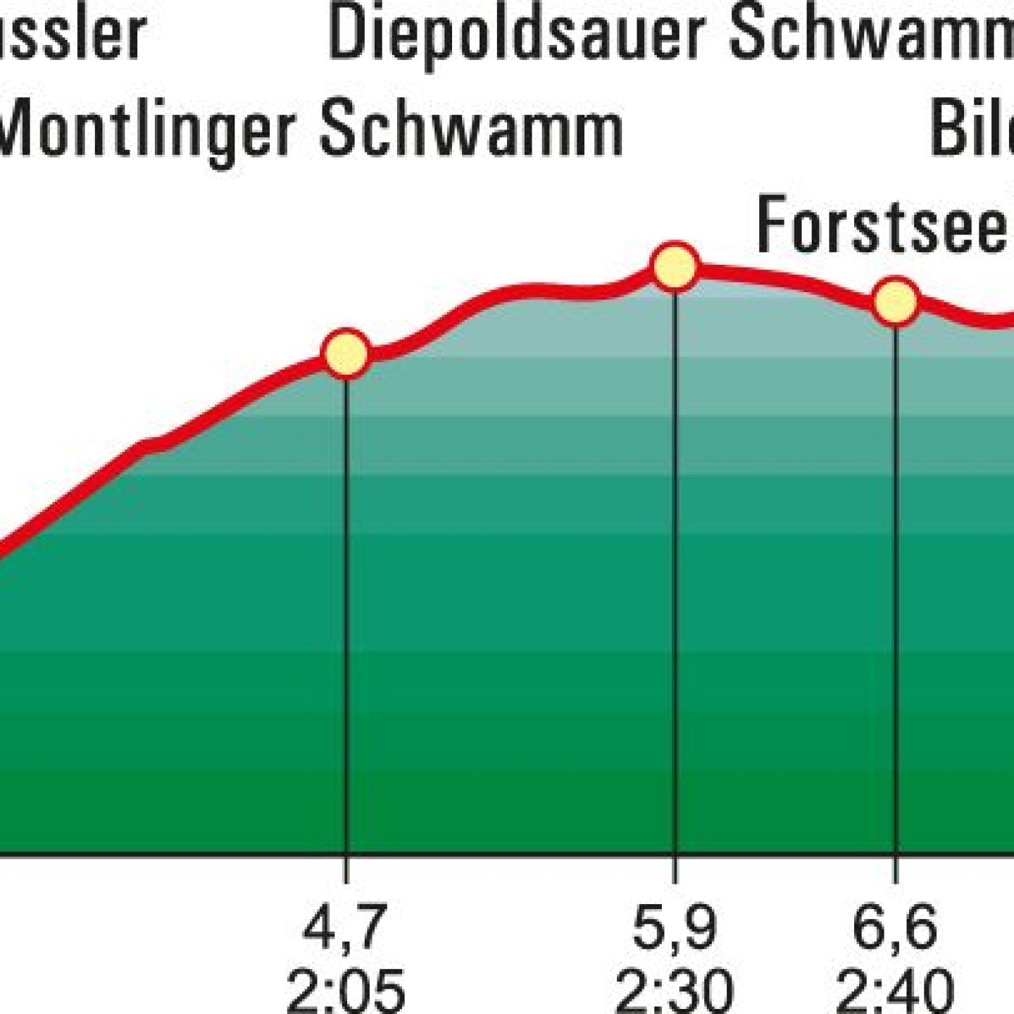 Wb21062montlingerschwamm_prof