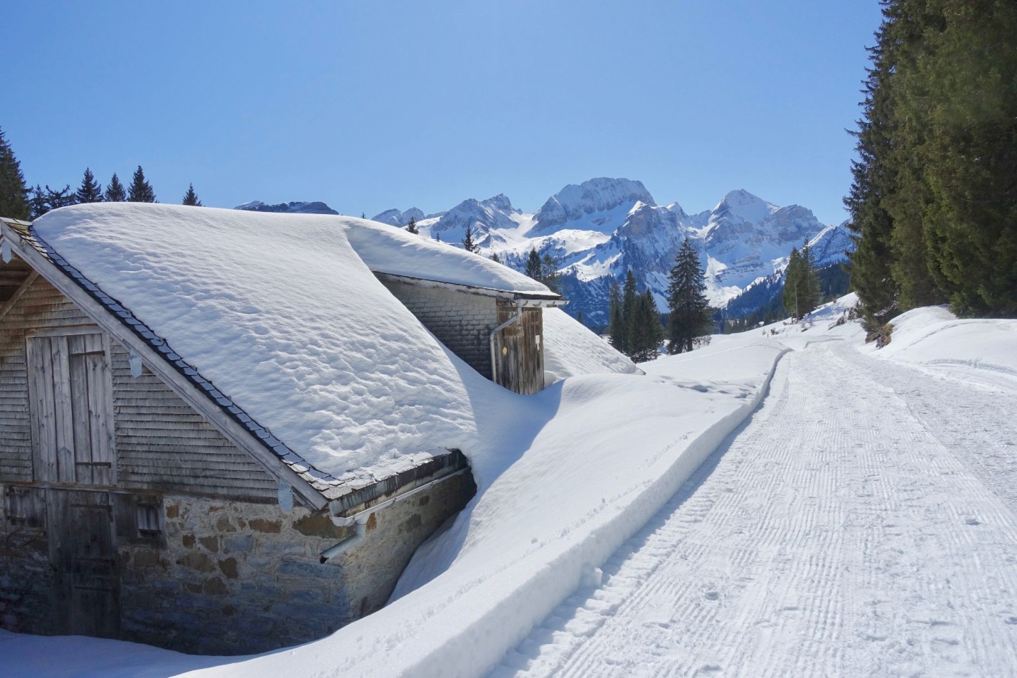 01_4 Schneeschuh1