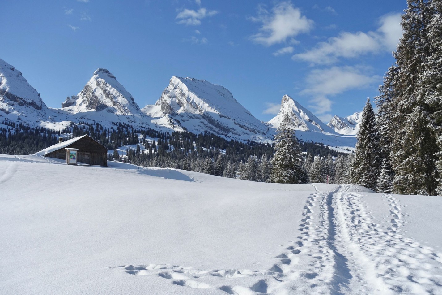 01_1 schneeschuhtrail6
