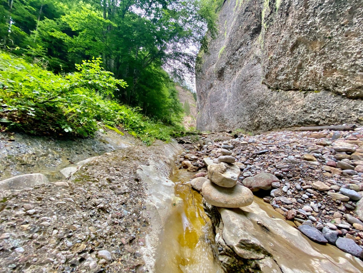 08_2 Canyon