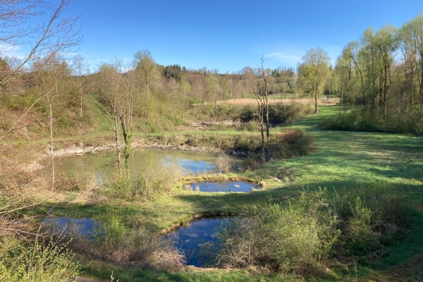 Halbtageswanderung: Faszinierendes Frühlingserwachen