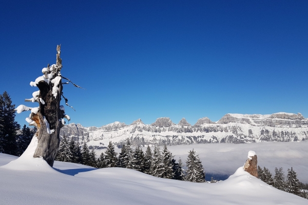 Halbtageswanderung Region Sarganserland-Werdenberg