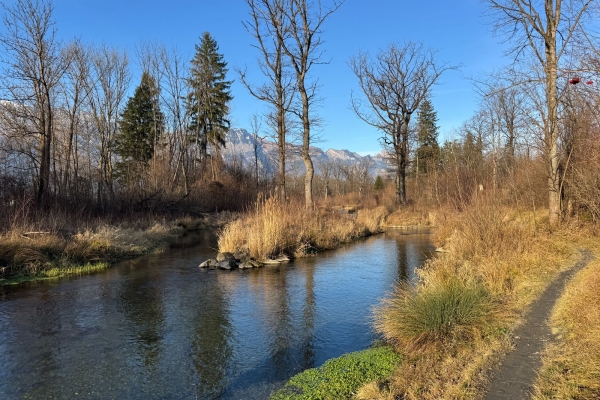 Halbtageswanderung: Durch die Rheinauen