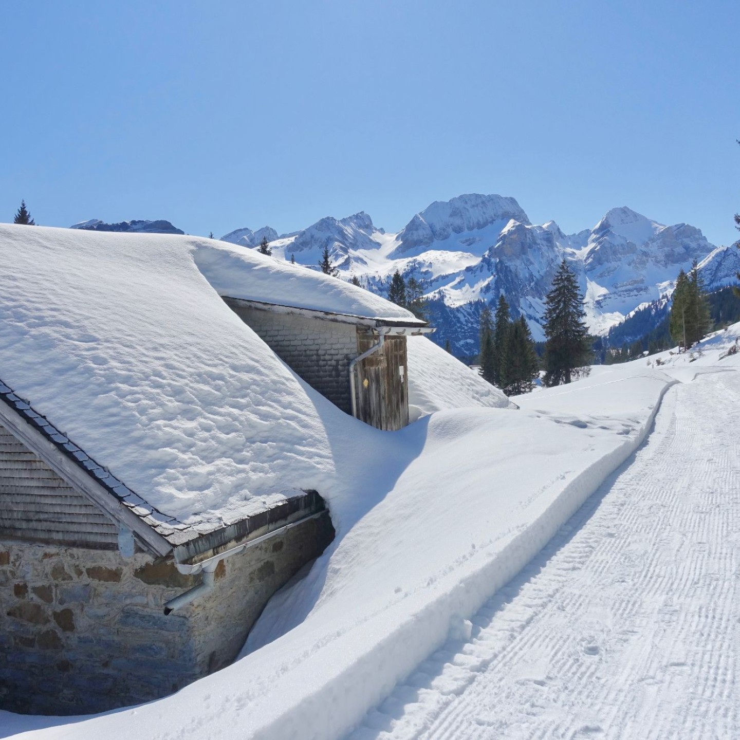 01_4 Schneeschuh1