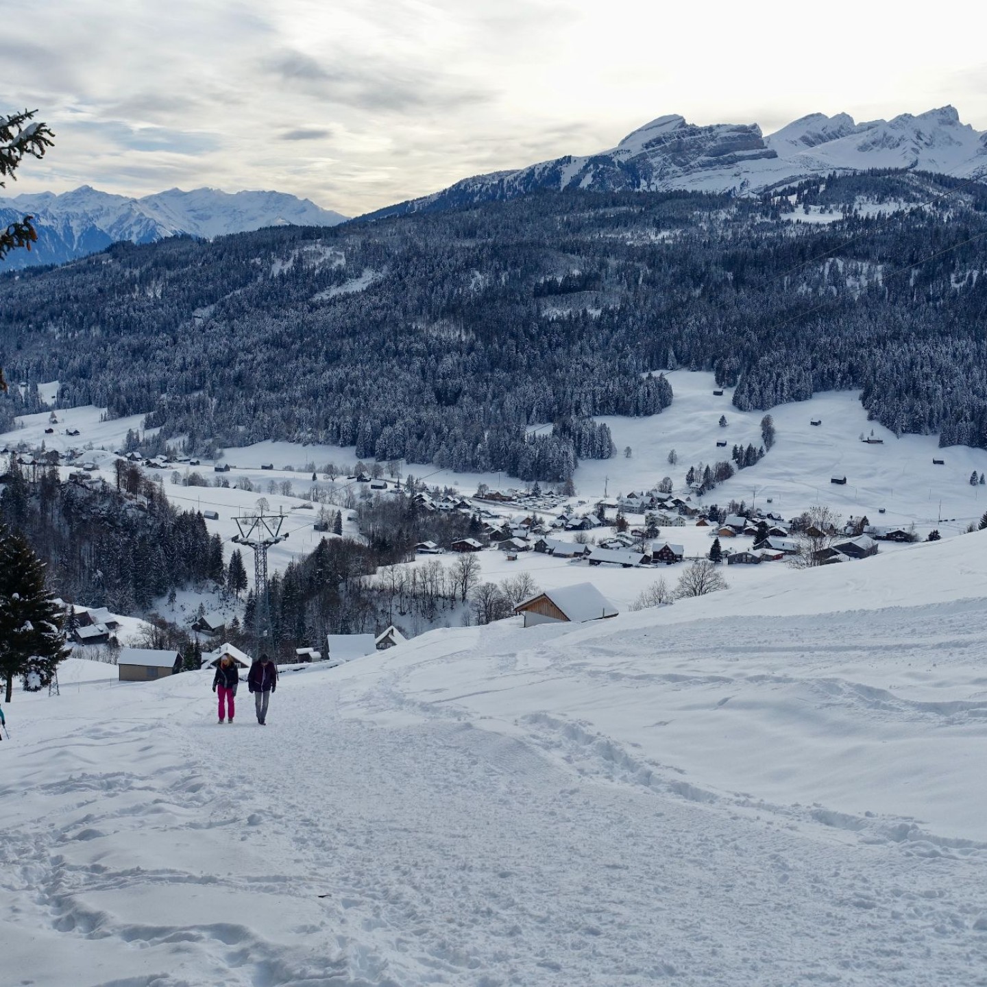 12_3 winterwandern wildhaus