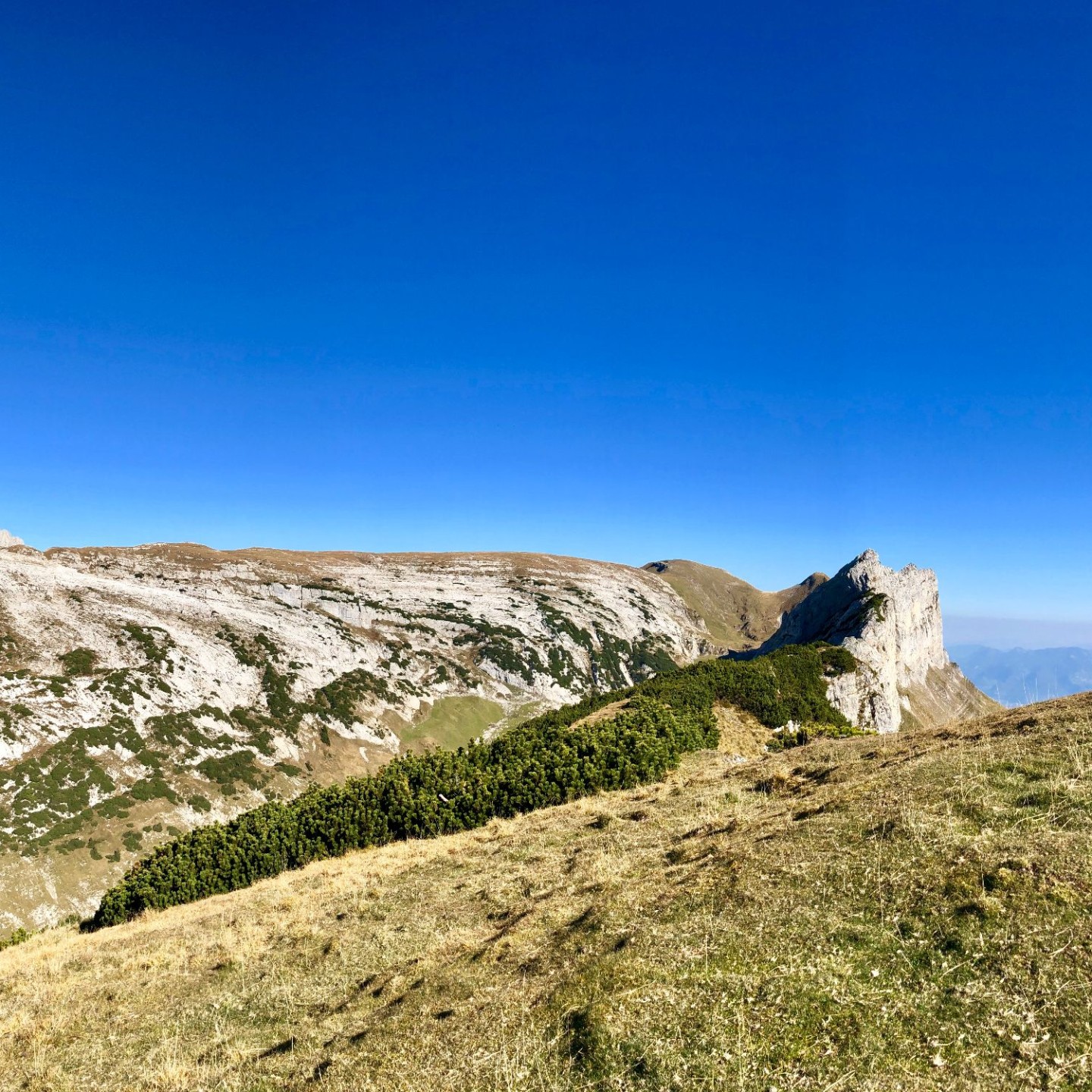 10_4 blick zum mutschen