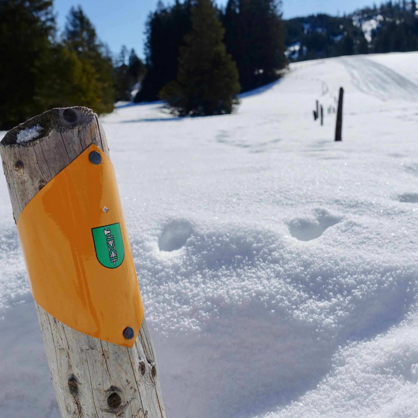01_4 Schneeschuh5