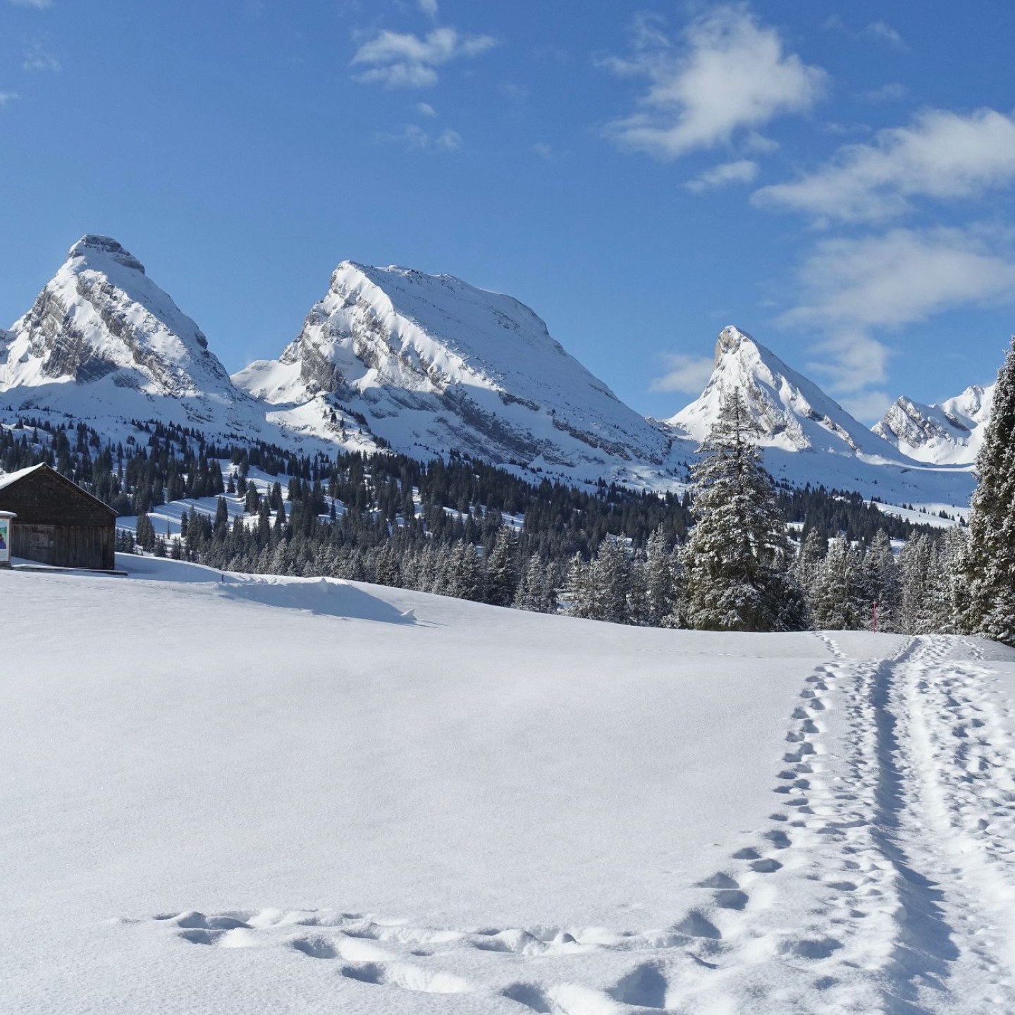 01_1 schneeschuhtrail6