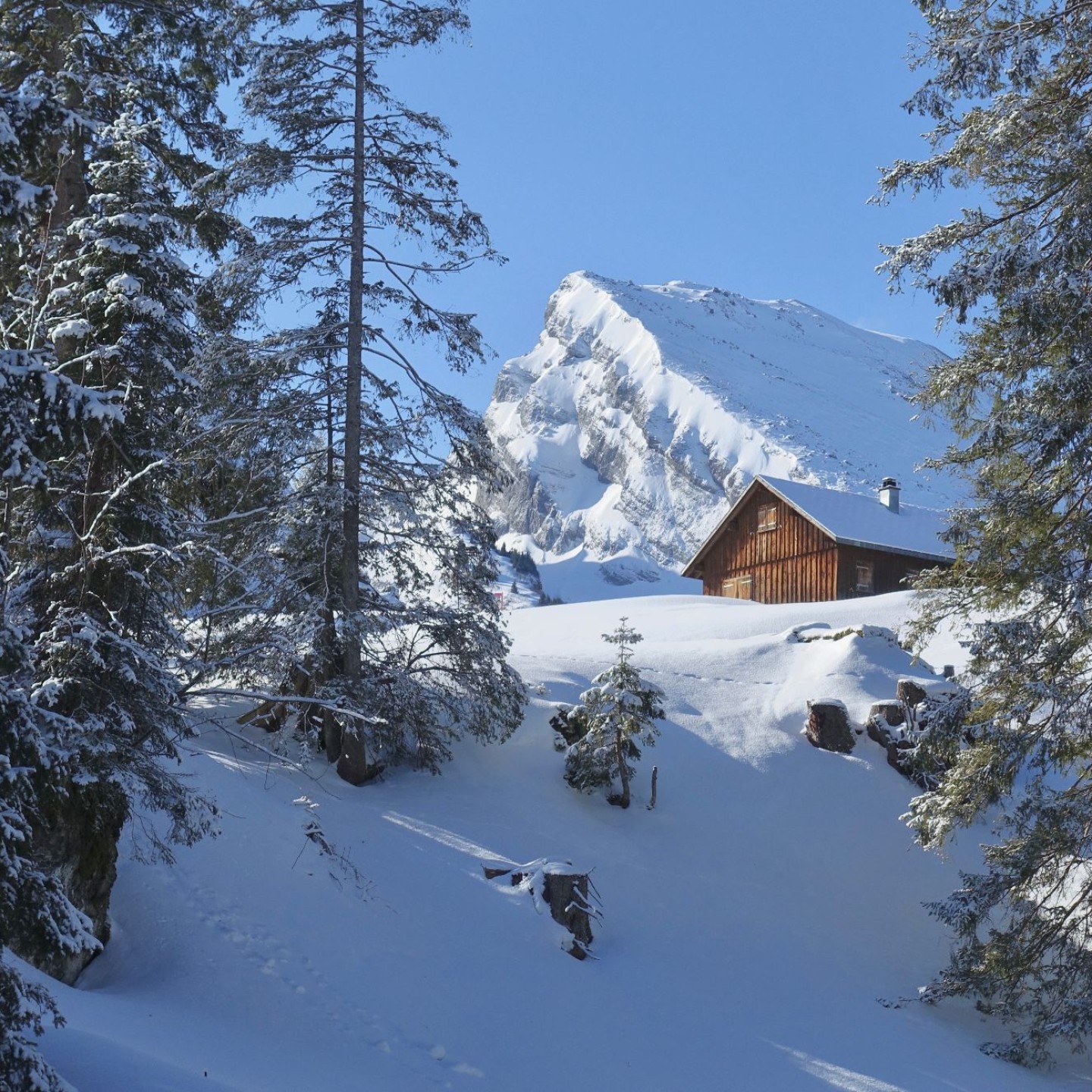 01_1 schneeschuhtrail5