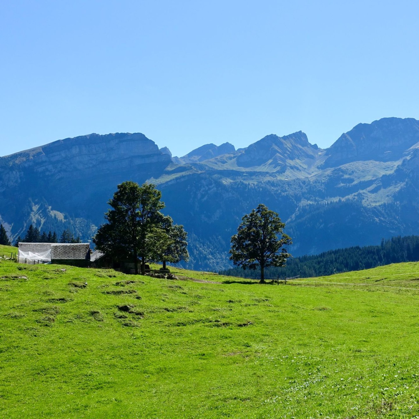09_4 Alviergebiet