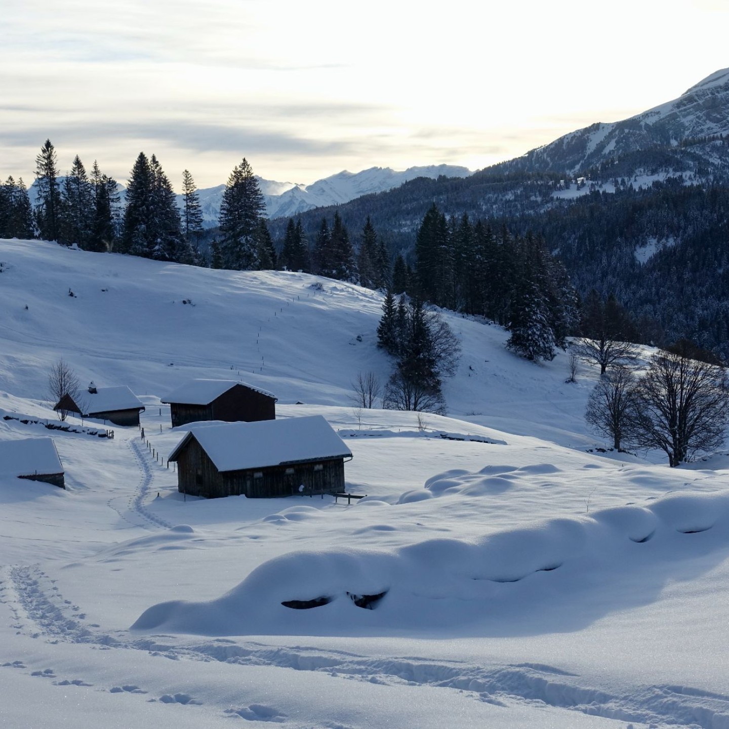 12_3 schneeschuhweg