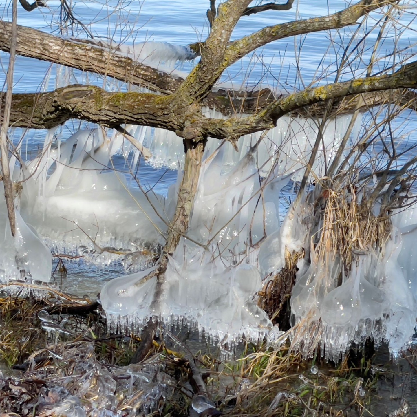 Eis Rhein