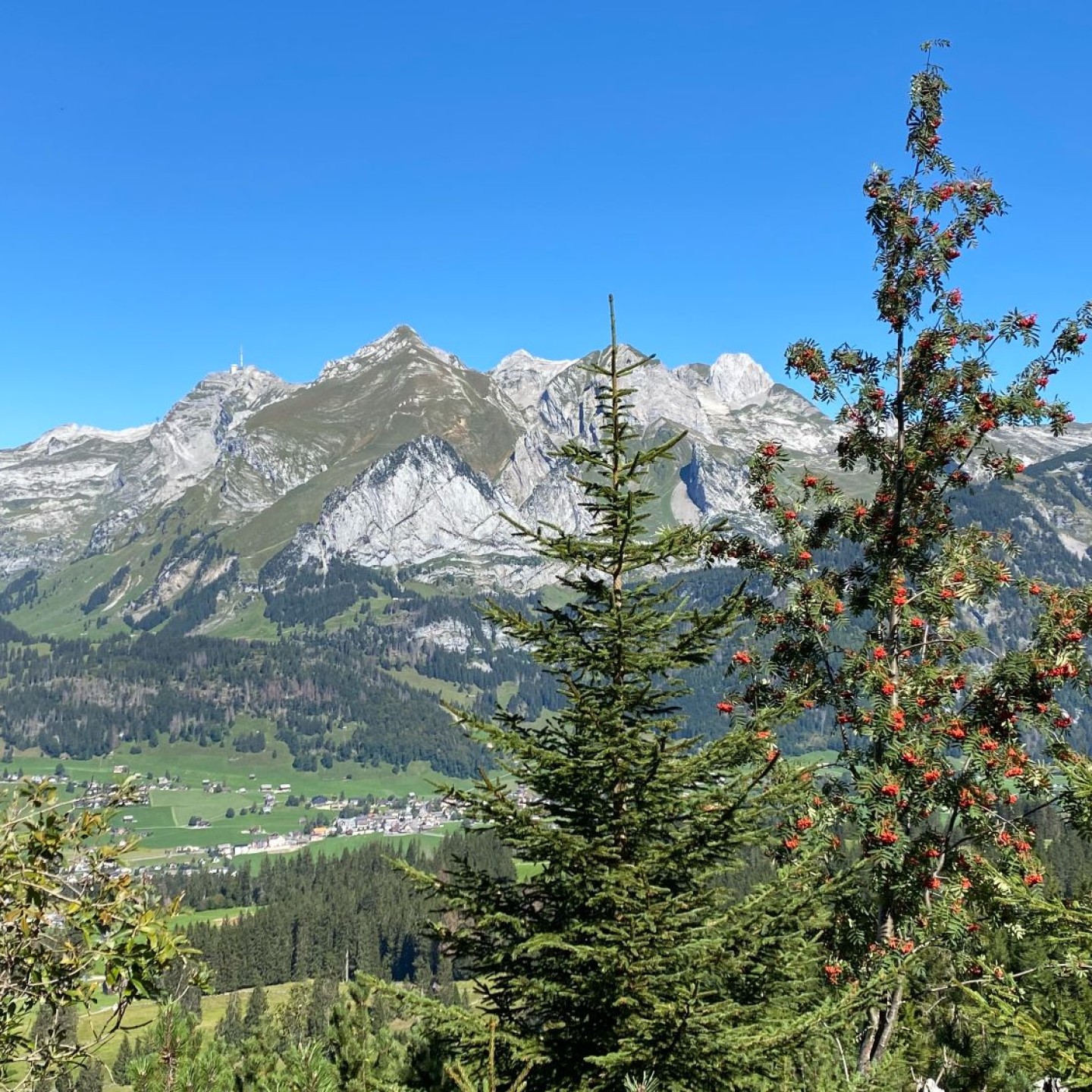 09_4 oberhalb Ölberg