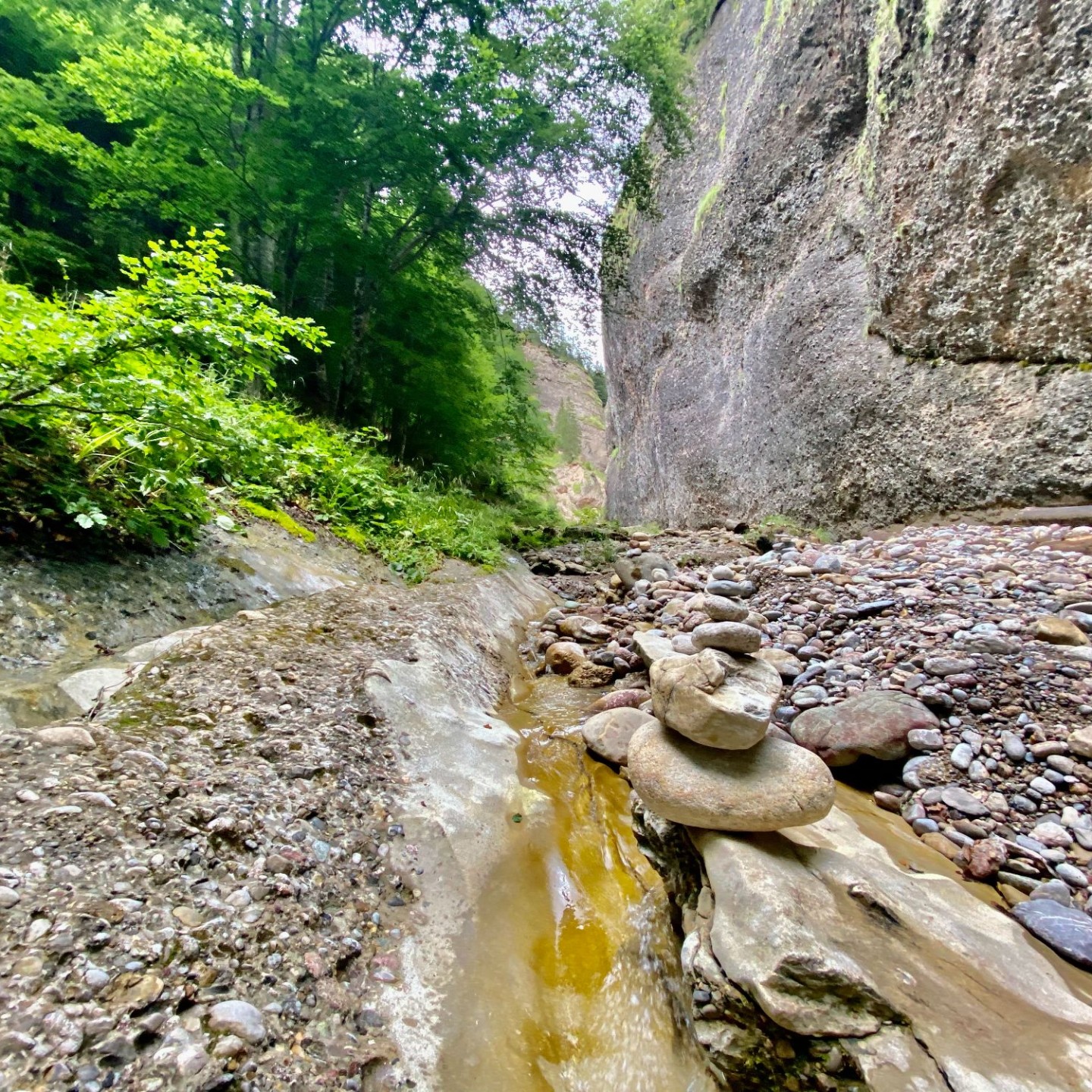 08_2 Canyon