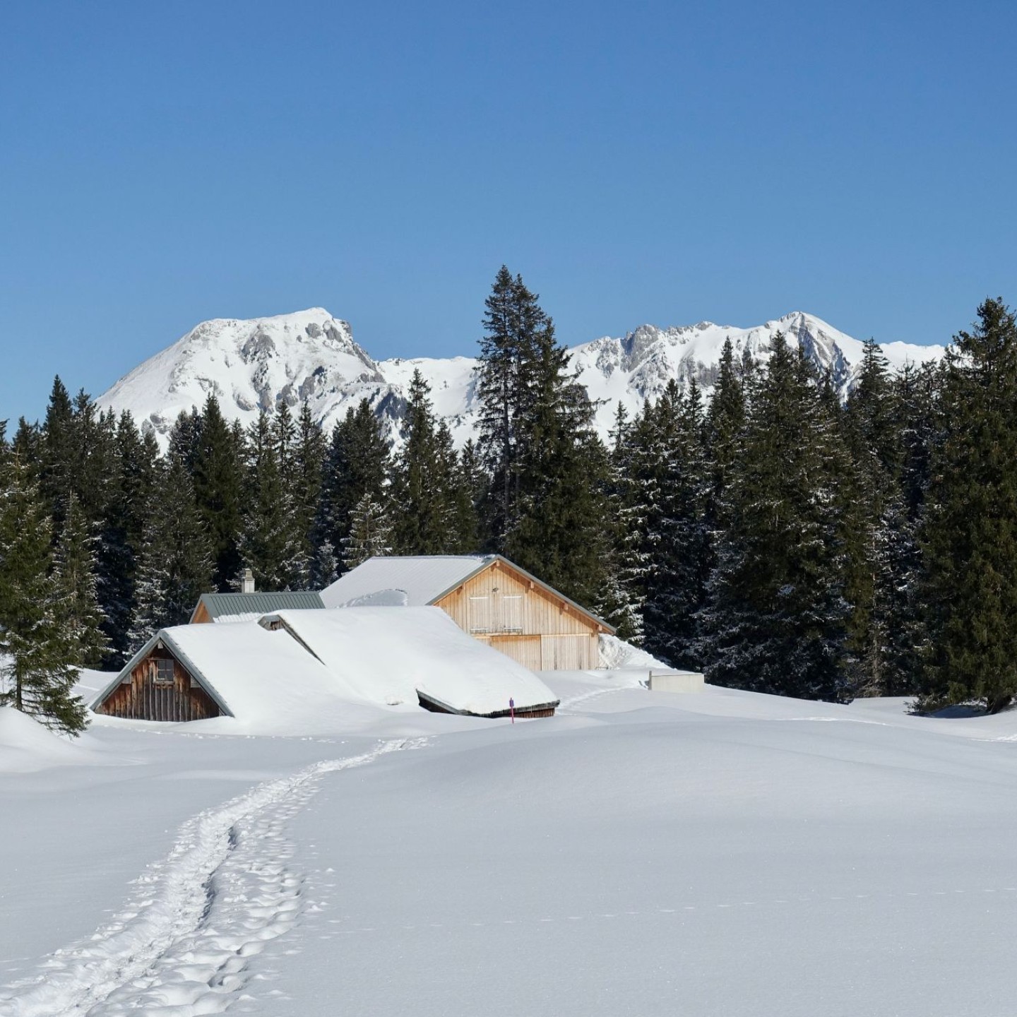 01_1 schneeschuhtrail Lochhütte